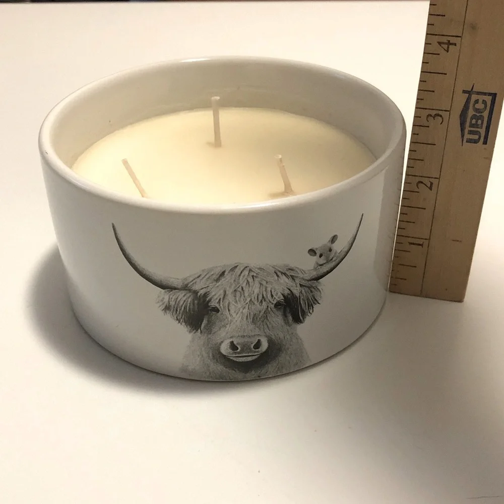 Pavilion Gift Co. Highland Cow Wax Reveal 3-Wick 10 oz Soy Candle